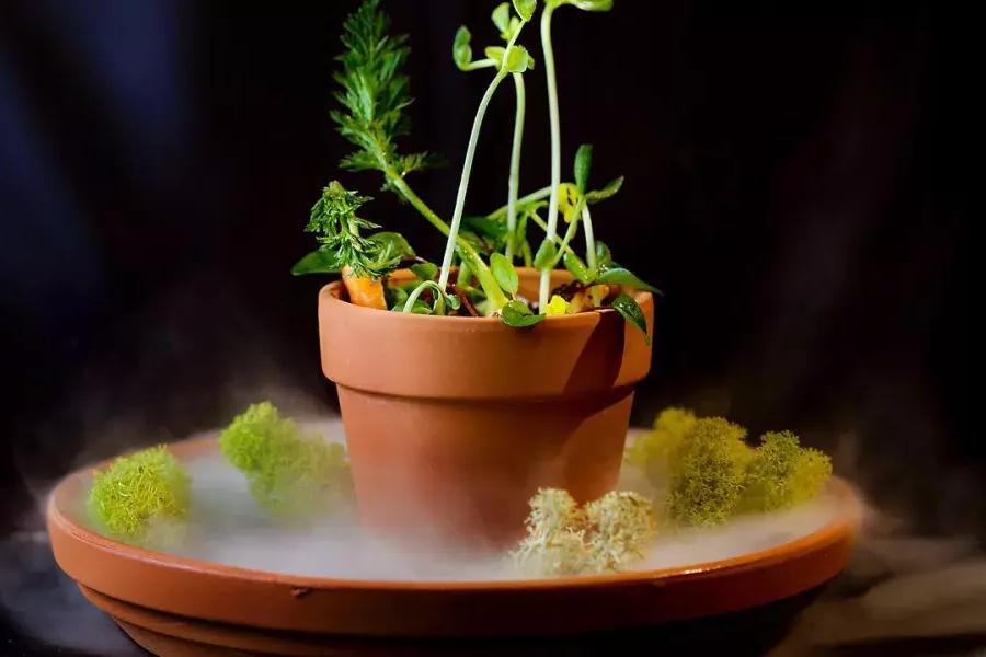 A creative dish that looks like a potted plant at Campton Place Restaurant in San Francisco.